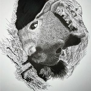Squirrel in a tree art print
